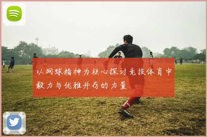 以网球精神为核心探讨竞技体育中毅力与优雅并存的力量