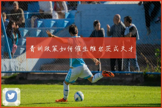 青训政策如何催生维尔茨式天才